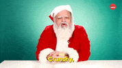 Santa Claus Christmas GIF by BuzzFeed