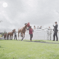 Walking Hello GIF by World Horse Racing