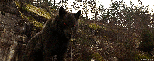 werewolf GIF