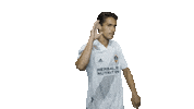Los Angeles Football Sticker by LA Galaxy