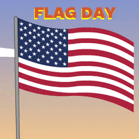 Independence Day Stan GIF by BoDoggos
