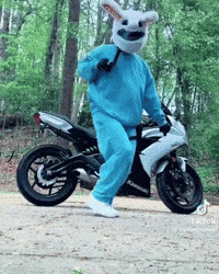 Dance Dancing GIF