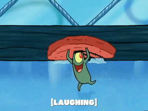season 5 new digs GIF by SpongeBob SquarePants