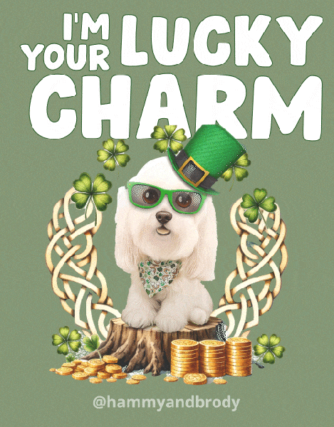 St Patricks Day Dog GIF by HammyandBrody