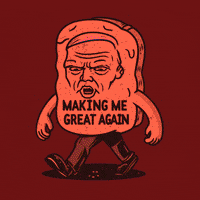 Trump GIF by Gallery.fm