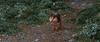 disney pixar GIF by The Good Dinosaur