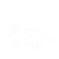 Cat Dog Sticker