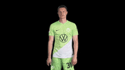 Happy Germany GIF by VfL Wolfsburg