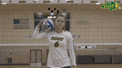 Volleyball Bison GIF by NDSU Athletics