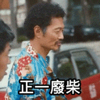 Tiger Mirror GIF by ViuTV