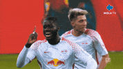 Happy Fun GIF by MolaTV