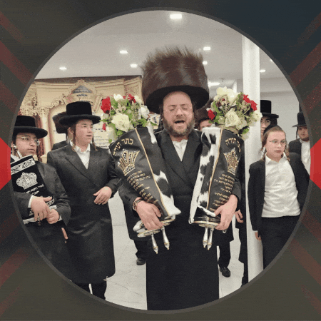 luzyostreicher giphygifmaker giphyattribution luzy ostreicher GIF