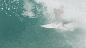 water sports surfing GIF by World Surf League