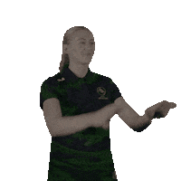 Dragons Phillipa Sticker by walesnetball