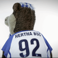 GIF by Hertha BSC