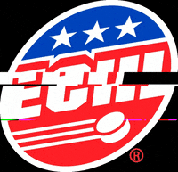 CincyCyclones echl echlhockey GIF