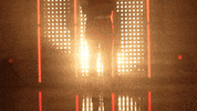 Utah Utes Softball GIF by NCAA Championships