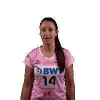 Sm_Aesch volleyball smaesch hoppsmaesch Sticker