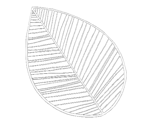 Leaf Sticker