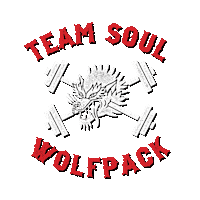 Tst Sticker by teamsoul