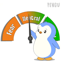 Crypto GIF by Pudgy Penguins