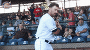 EvansvilleOtters baseball gameday swinging hitting GIF