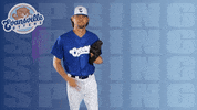 Walk Out GIF by Evansville Otters