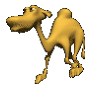 camel STICKER