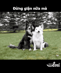 duong-gif16 GIF by Lozi Singapore Co.