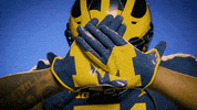 Go Blue College Football GIF by Michigan Athletics