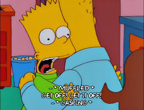 homer simpson GIF