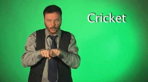 sign language cricket GIF by Sign with Robert