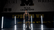 Ncaa Seltzer GIF by Mizzou Athletics