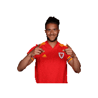 Wales National Team Football Sticker by FA Wales