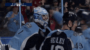 Goalie Hugs GIF by Milwaukee Admirals