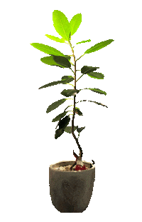 岡山 Sticker by theater2019