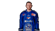 Madden Sticker by Straubing Tigers