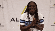 All Star Softball GIF by The Alliance Fastpitch
