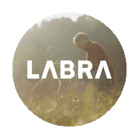 Marketing Labra Sticker by AgenciaLabra