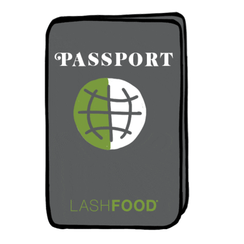 travel passport Sticker by LASHFOOD
