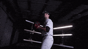 University Of Louisville Baseball GIF by Louisville Cardinals