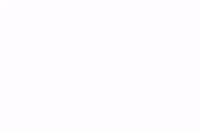 Flowers GIF by Creativelight