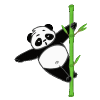 Bear Panda Sticker