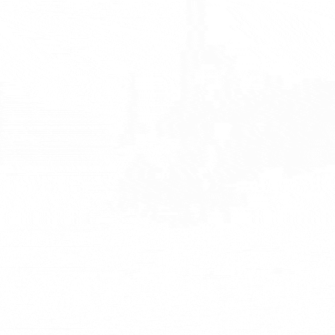 konstantinvsedegov giphygifmaker GIF
