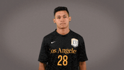 Soccer Ncaa GIF by Cal State LA Golden Eagles
