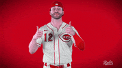 Tyler Naquin GIF by Cincinnati Reds