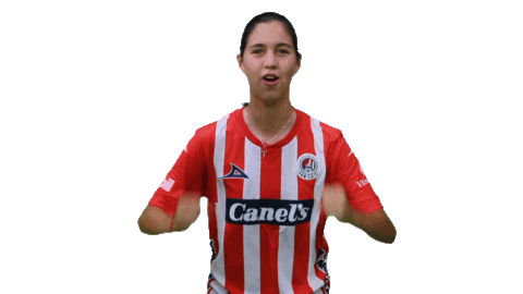 San Luis Soccer Sticker by Atlético de San Luis