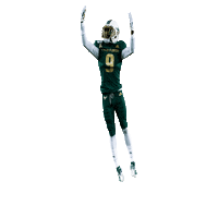 Usf Football Sticker by SoFloBulls
