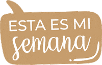 Feliz Dia Sticker by Present Market