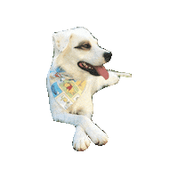 Winnie The Pooh Aussie Sticker by Geekster Pets